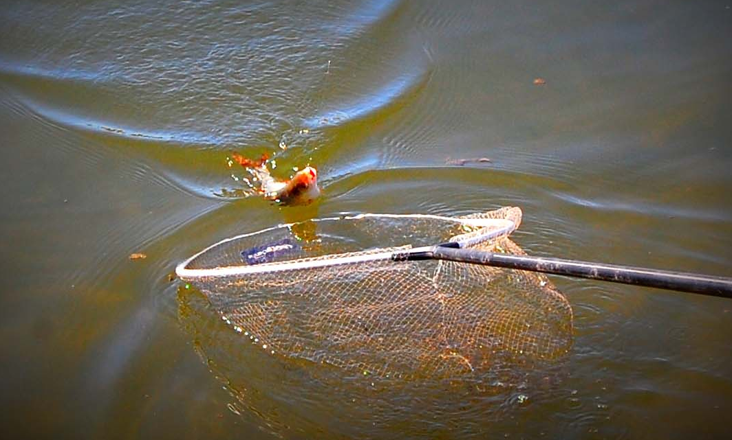 Рыбалка - полезные советы