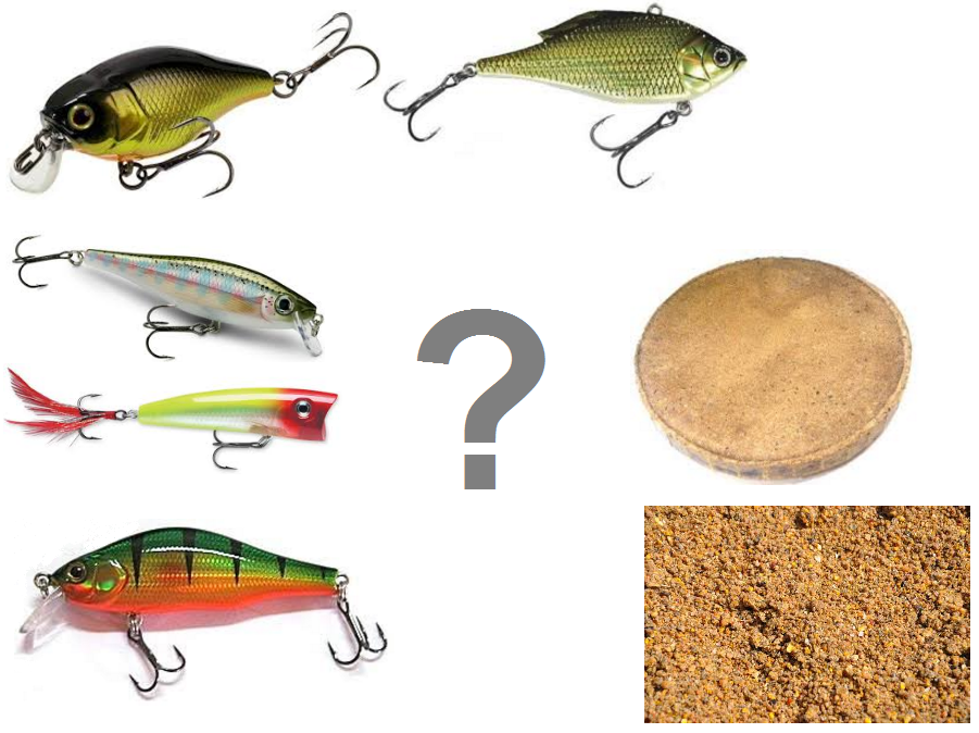 Спиннинг или прикормка?